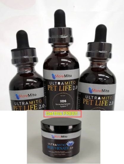 Picture of Bundle #7 - Buy 3 Pet Life & get 1 FREE Rejuvenate!! 